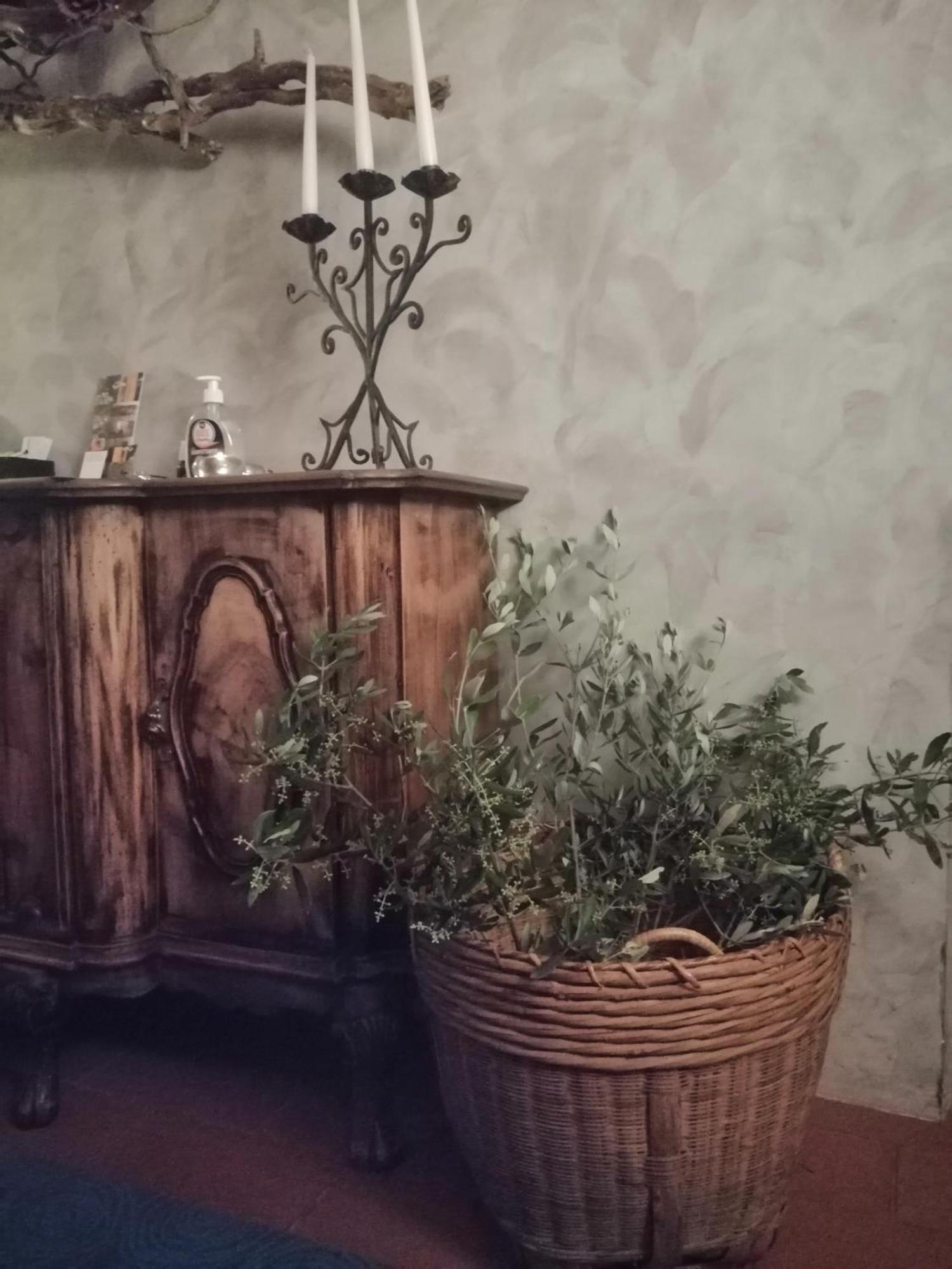 אימולה Corte Di Maggio B&B Country House מראה חיצוני תמונה