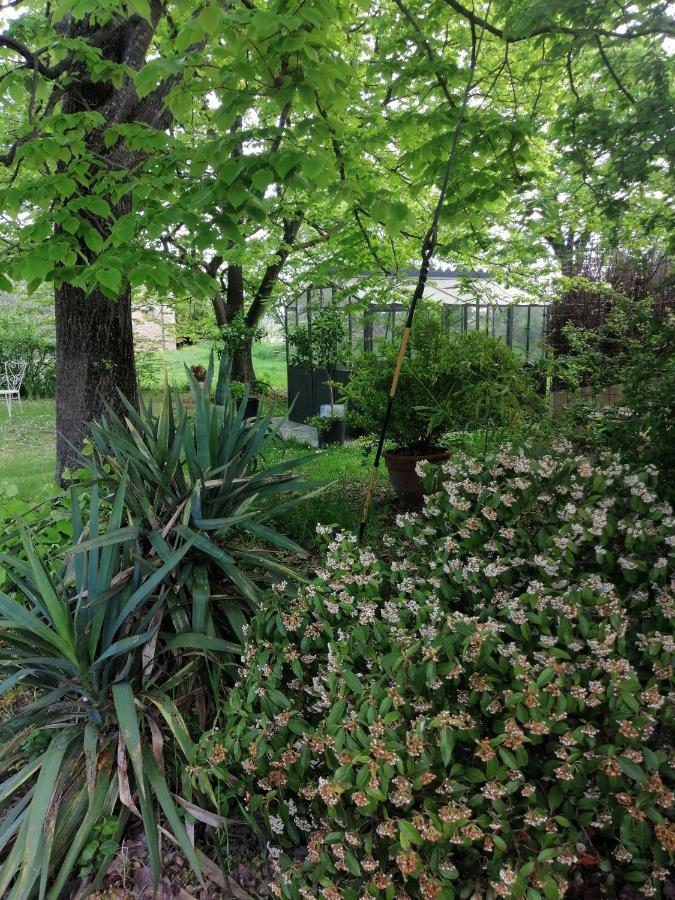 אימולה Corte Di Maggio B&B Country House מראה חיצוני תמונה