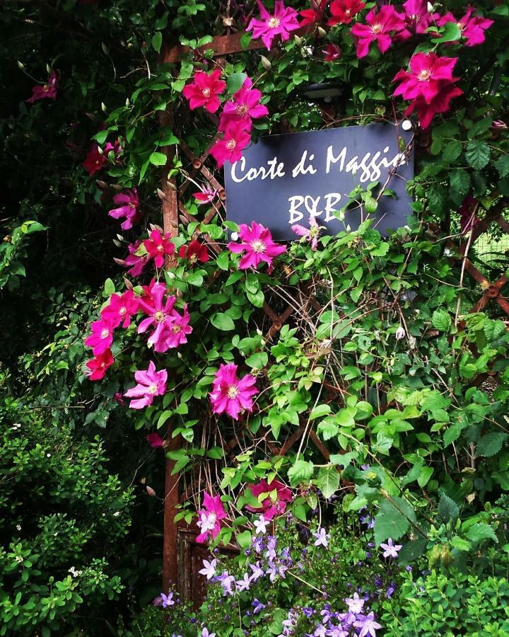אימולה Corte Di Maggio B&B Country House מראה חיצוני תמונה